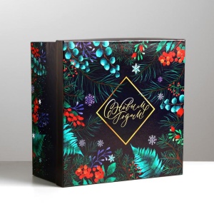 Коробка подарочная «Новогодняя ботаника», 28 × 28 × 15 см 5092763