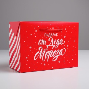 Пакет-коробка «Подарок», 28 × 20 × 13 см 4922094