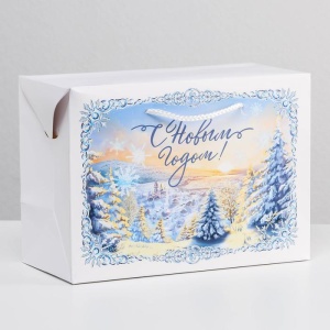 Пакет-коробка «Морозное утро», 28 × 20 × 13 см   6582851